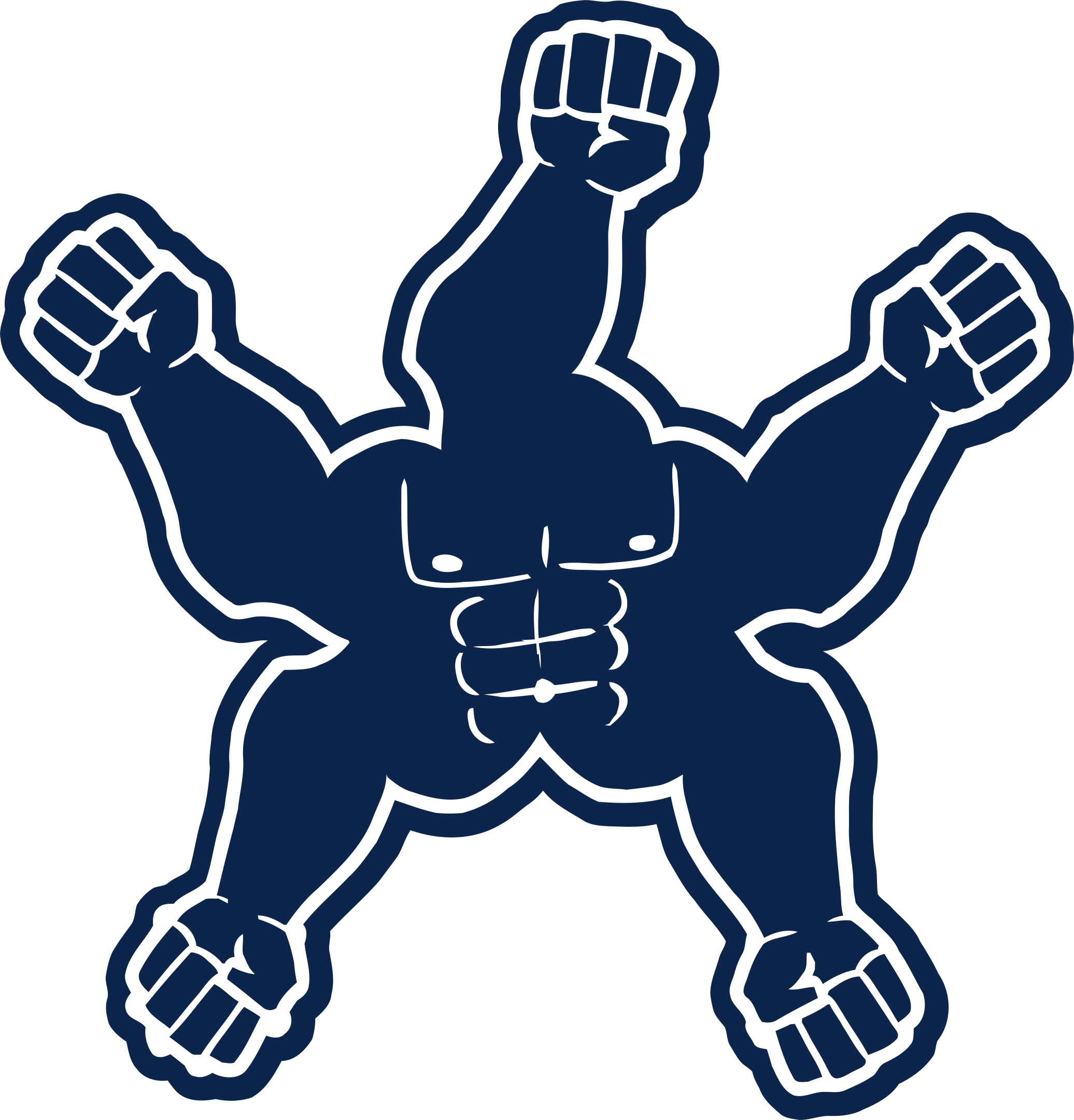 Dallas Cowboys Steroids Logo fabric transfer